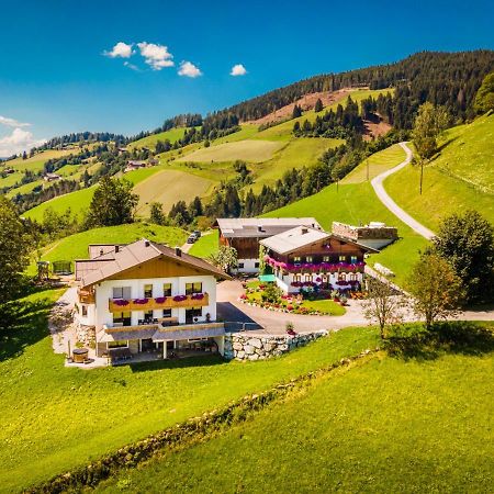 Lindbichlhof Urlaub Am Bio Bauernhof Lejlighed Sankt Johann im Pongau Eksteriør billede