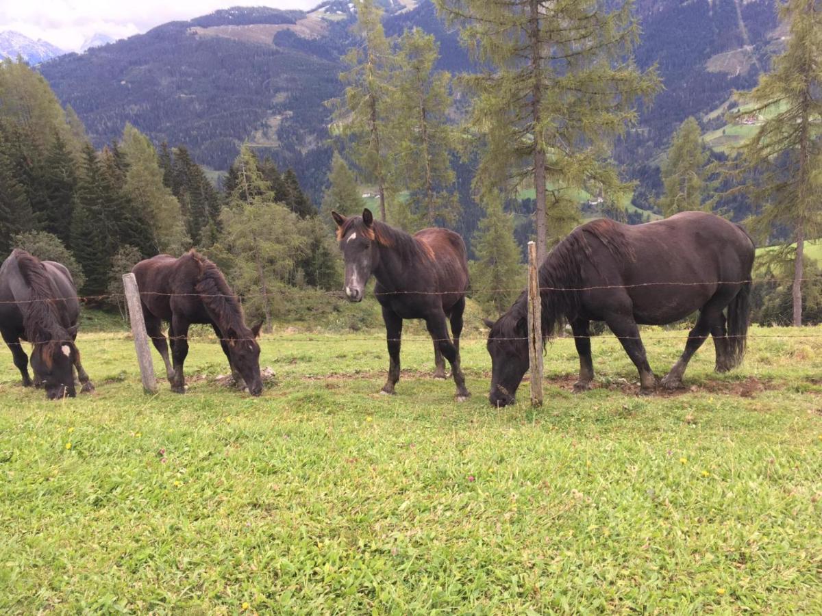 Lindbichlhof Urlaub Am Bio Bauernhof Lejlighed Sankt Johann im Pongau Eksteriør billede
