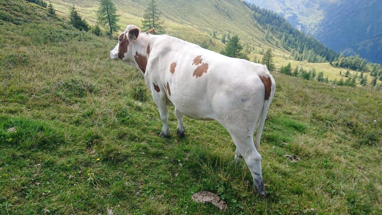 Lindbichlhof Urlaub Am Bio Bauernhof Lejlighed Sankt Johann im Pongau Eksteriør billede