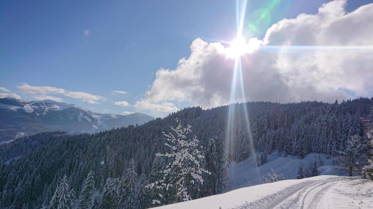 Lindbichlhof Urlaub Am Bio Bauernhof Lejlighed Sankt Johann im Pongau Eksteriør billede