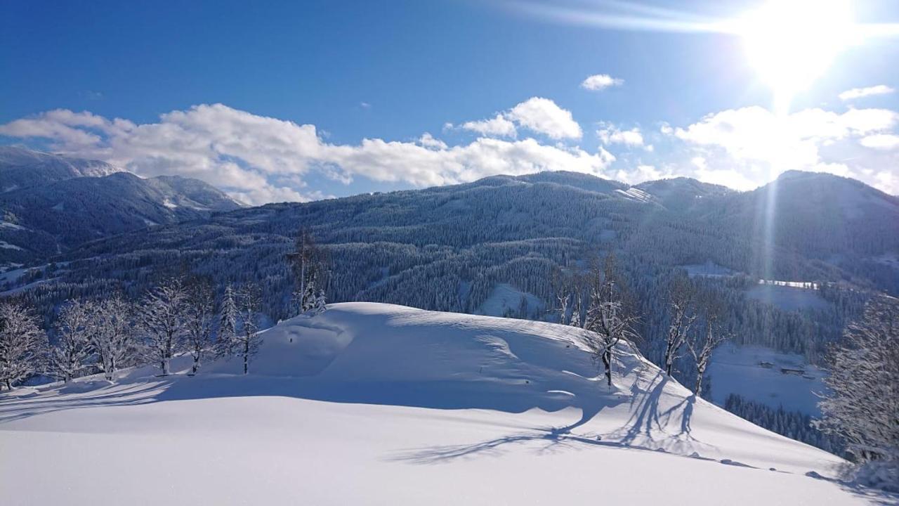 Lindbichlhof Urlaub Am Bio Bauernhof Lejlighed Sankt Johann im Pongau Eksteriør billede