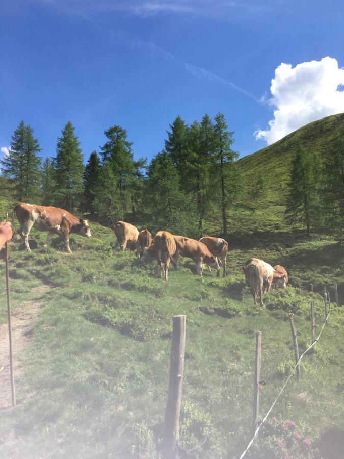 Lindbichlhof Urlaub Am Bio Bauernhof Lejlighed Sankt Johann im Pongau Eksteriør billede