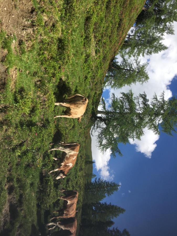 Lindbichlhof Urlaub Am Bio Bauernhof Lejlighed Sankt Johann im Pongau Eksteriør billede