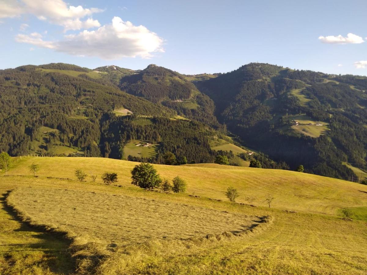 Lindbichlhof Urlaub Am Bio Bauernhof Lejlighed Sankt Johann im Pongau Eksteriør billede