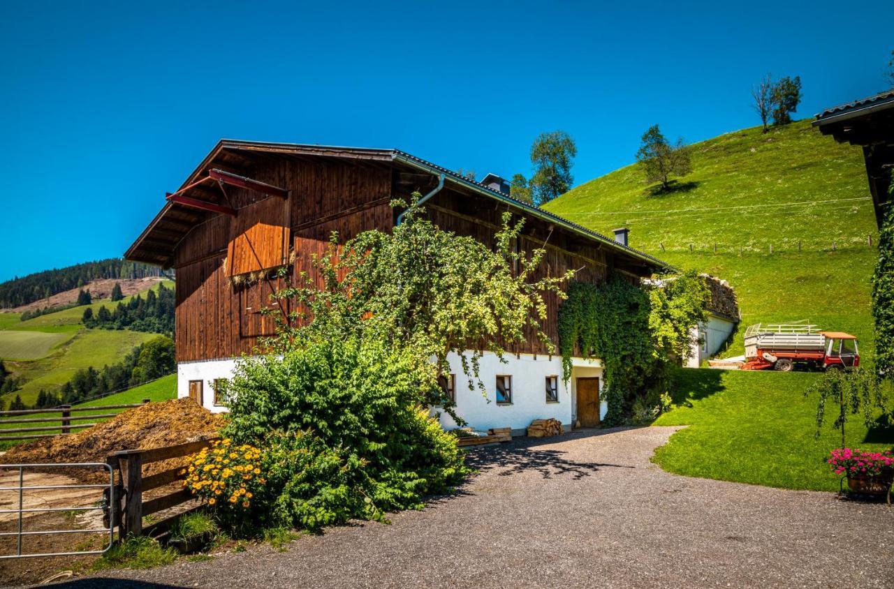 Lindbichlhof Urlaub Am Bio Bauernhof Lejlighed Sankt Johann im Pongau Eksteriør billede