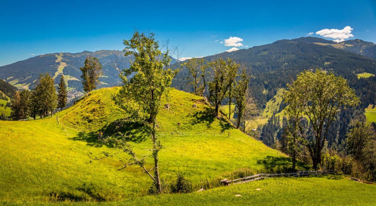 Lindbichlhof Urlaub Am Bio Bauernhof Lejlighed Sankt Johann im Pongau Eksteriør billede