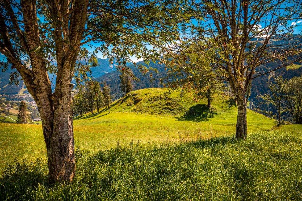 Lindbichlhof Urlaub Am Bio Bauernhof Lejlighed Sankt Johann im Pongau Eksteriør billede